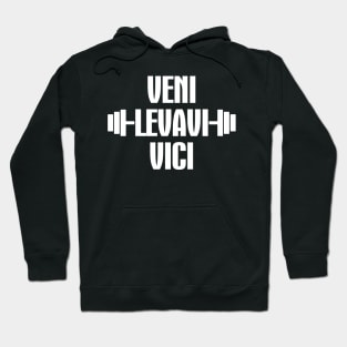 I came, I lifted, I conquered Hoodie